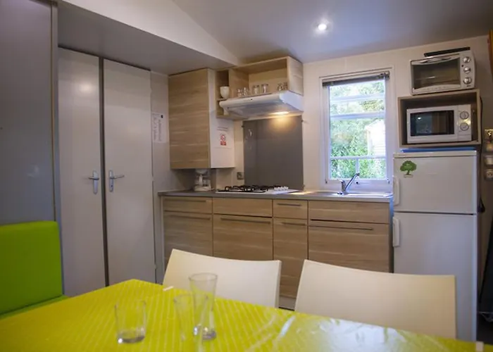 Mobil Cosy Avec Terrasse Au De - Api-1-52-585 キャンプ場 Naucelle